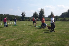 Cavaletti Seminar mit Christine Sachse