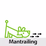 Mantrailing
